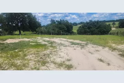 562 Libby Road, Babson Park, FL 33827 - Photo 7