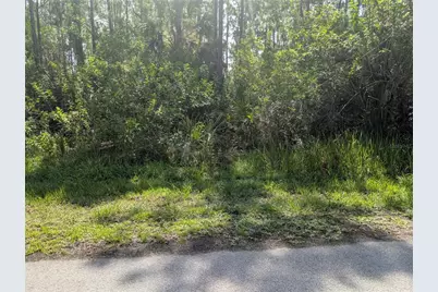 28 & 30 Amaryllis Drive, Indian Lake Estates, FL 33855 - Photo 3