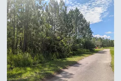 28 & 30 Amaryllis Drive, Indian Lake Estates, FL 33855 - Photo 7