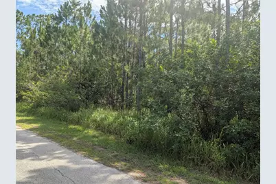 30 Amaryllis Drive, Indian Lake Estates, FL 33855 - Photo 13