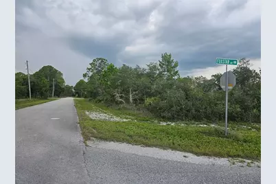 643 Buccaneer Street NW, Lake Placid, FL 33852 - Photo 3