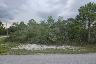 643 Buccaneer St NW, Lake Placid, FL 33852 - Photo 1