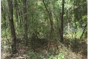 Southwest 156th Pl, Dunnellon, FL 34432 - Photo 1