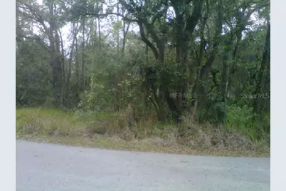 State Park Rd, Lakeland, FL 33805 - Photo 3