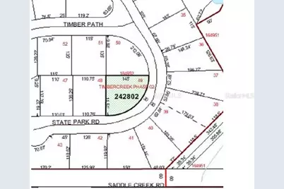 State Park Rd, Lakeland, FL 33805 - Photo 5