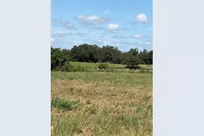 10349 County Road 555, Fort Meade, FL 33841 - Photo 9