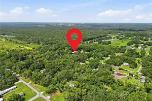 1708 Robin St, Auburndale, FL 33823 - Photo 51
