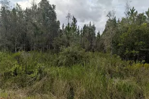 Meadowlark Blvd, Indian Lake Estates, FL 33855 - Photo 1