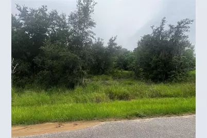 2370 Lake Easy Road, Babson Park, FL 33827 - Photo 1