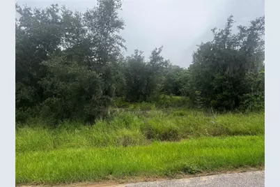 2370 Lake Easy Road, Babson Park, FL 33827 - Photo 5