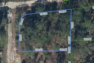 233 Moon Glow Ct, Lake Placid, FL 33852 - Photo 1