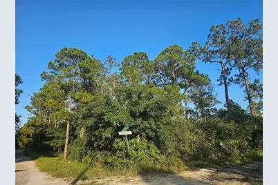 233 Moon Glow Court, Lake Placid, FL 33852 - Photo 9