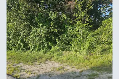 205 Serenade Drive, Lake Placid, FL 33852 - Photo 9