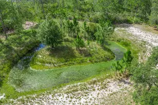 1273 Scrub Jay Trail, Frostproof, FL 33843 - Photo 51