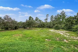 6545 Landover Blvd, Spring Hill, FL 34608 - Photo 47