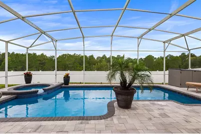301 Birkdale Street, Davenport, FL 33897 - Photo 29