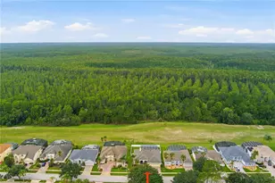 301 Birkdale St, Davenport, FL 33897 - Photo 41
