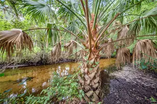 1617 Horseshoe Creek Rd, Davenport, FL 33837 - Photo 63