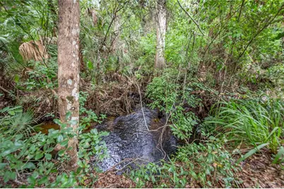 1617 Horseshoe Creek Road, Davenport, FL 33837 - Photo 61