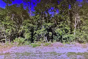 0 Chipo St, Interlachen, FL 32148 - Photo 1