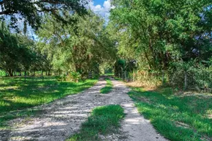 1682 Friendship Ln, Zolfo Springs, FL 33890 - Photo 7