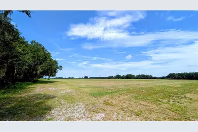 610 N Hollandtown Road, Wauchula, FL 33873 - Photo 45