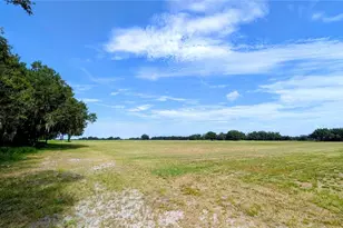 610 N Hollandtown Rd, Wauchula, FL 33873 - Photo 45