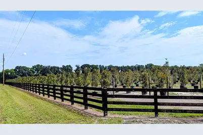 610 N Hollandtown Road, Wauchula, FL 33873 - Photo 57
