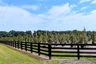 610 N Hollandtown Rd, Wauchula, FL 33873 - Photo 57