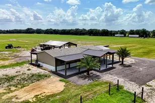 610 N Hollandtown Rd, Wauchula, FL 33873 - Photo 65