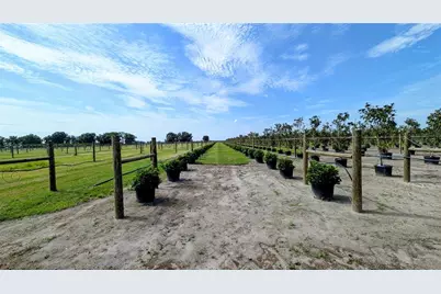 610 N Hollandtown Road, Wauchula, FL 33873 - Photo 53
