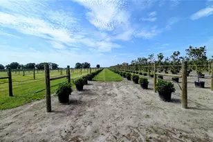 610 N Hollandtown Rd, Wauchula, FL 33873 - Photo 53