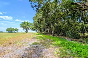 610 N Hollandtown Rd, Wauchula, FL 33873 - Photo 37