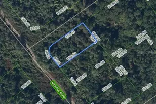 457 Nichele Blvd, Lake Placid, FL 33852 - Photo 1