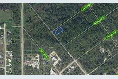 457 Nichele Boulevard, Lake Placid, FL 33852 - Photo 5