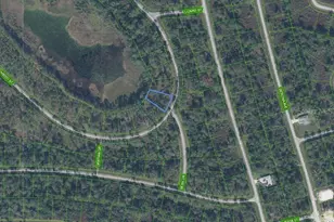 8760 Oviedo St, Sebring, FL 33872 - Photo 1
