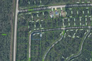 7301 Virtudes St, Sebring, FL 33872 - Photo 1