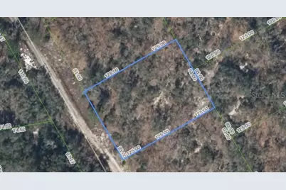 289 Blue Horizon Drive, Lake Placid, FL 33852 - Photo 1