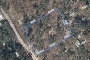 289 Blue Horizon Dr, Lake Placid, FL 33852 - Photo 1