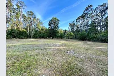 Limpkin Lane, Frostproof, FL 33843 - Photo 3