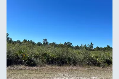Orlando Drive, Indian Lake Estates, FL 33855 - Photo 1