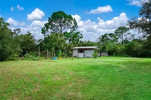 580 Summer Hill Dr, Lake Placid, FL 33852 - Photo 49