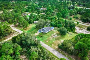 580 Summer Hill Dr, Lake Placid, FL 33852 - Photo 53