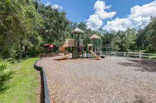 17012 Falconridge Rd, Lithia, FL 33547 - Photo 63
