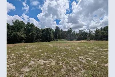 3002 Turnbull Bay Road, New Smyrna Beach, FL 32168 - Photo 51