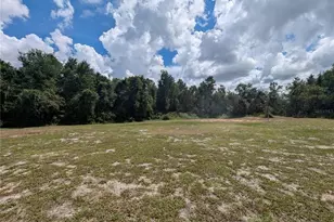 3002 Turnbull Bay Rd, New Smyrna Beach, FL 32168 - Photo 51