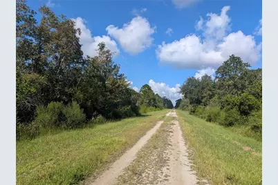 313 Bougainville Drive, Indian Lake Estates, FL 33855 - Photo 5