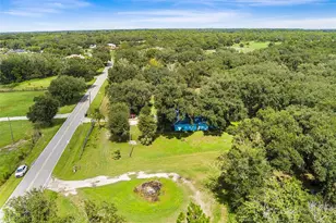 2425 Gerber Dairy Rd, Winter Haven, FL 33880 - Photo 31