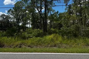 McClellan Rd, Frostproof, FL 33843 - Photo 1