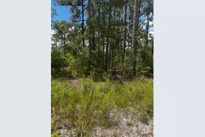 McClellan Road #6, Frostproof, FL 33843 - Photo 1
